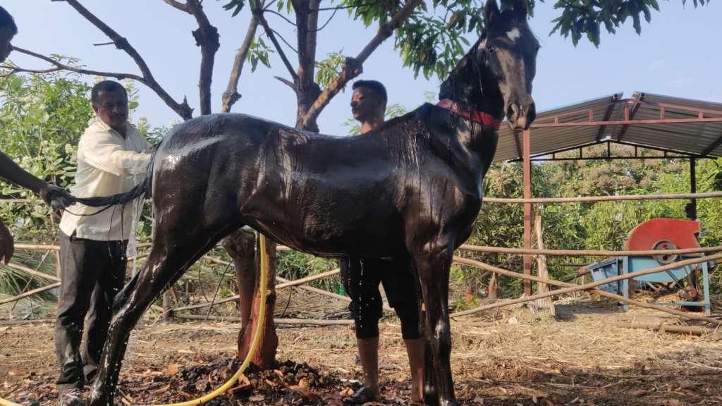 Why Agro Tourism Resorts Near Pune Are Becoming Popular
